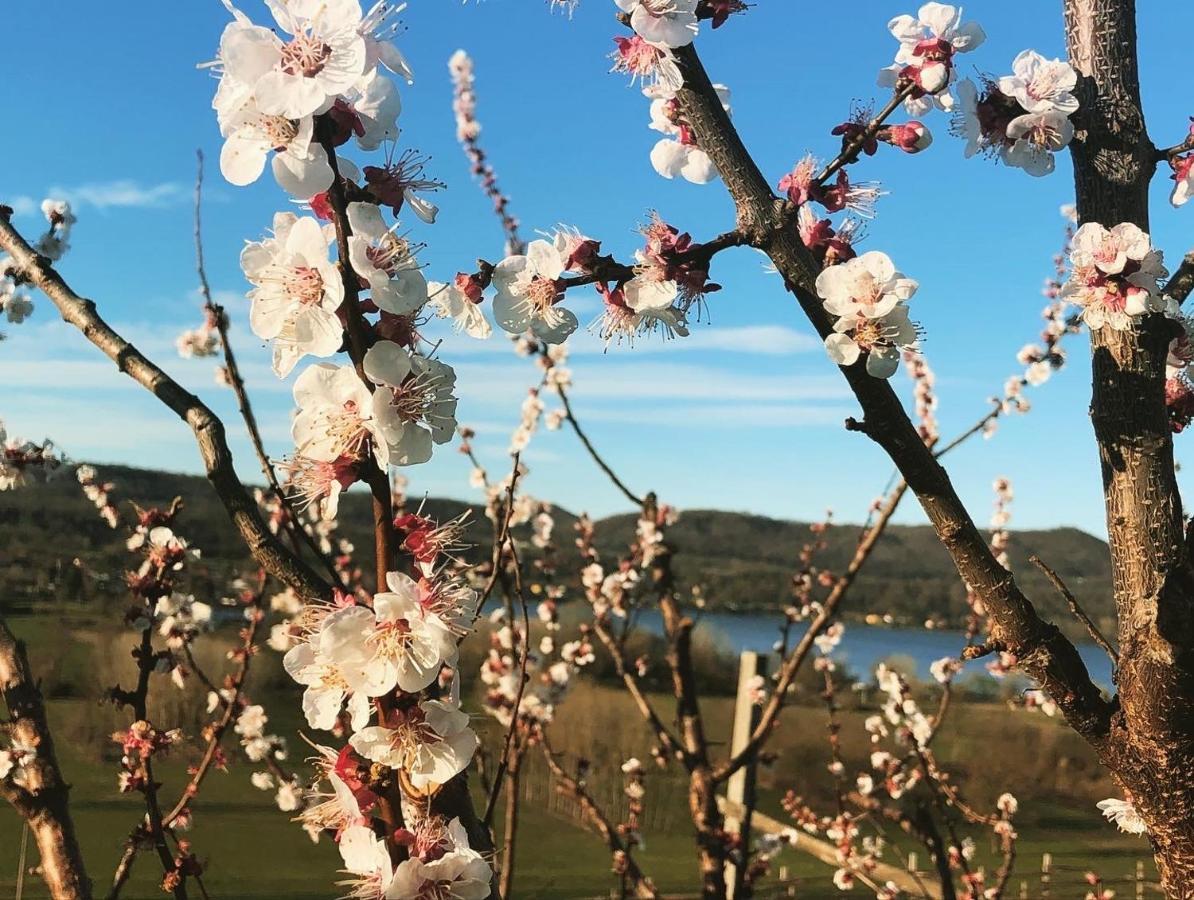 RoppoloCascina Coste别墅 外观 照片